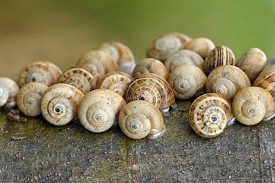 《如龙8》获得Fami通满分评价：大人的玩具箱