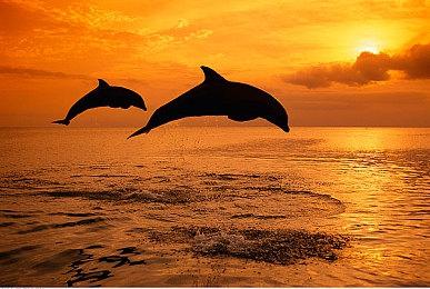 《哥谭骑士》将有新DLC 专注哥谭的大反派们