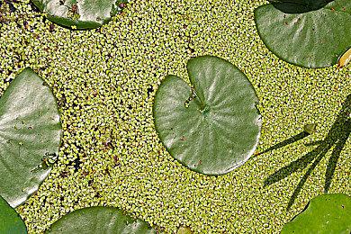 育碧公布《刺客信条：影》新视频 展示跑酷系统